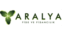 Aralya Fidancılık
